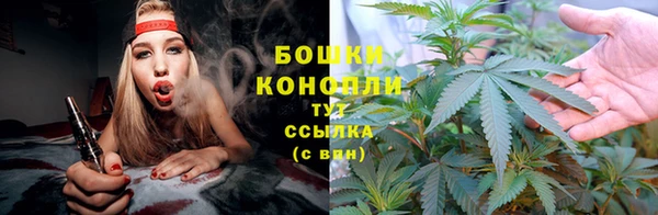 apvp Белокуриха